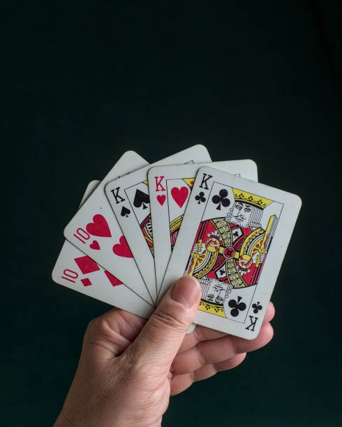 Promotional offer details on indo togel platform